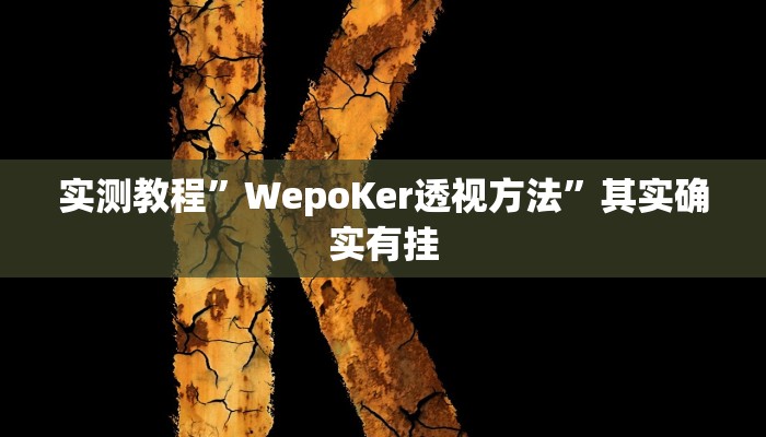 实测教程”WepoKer透视方法”其实确实有挂