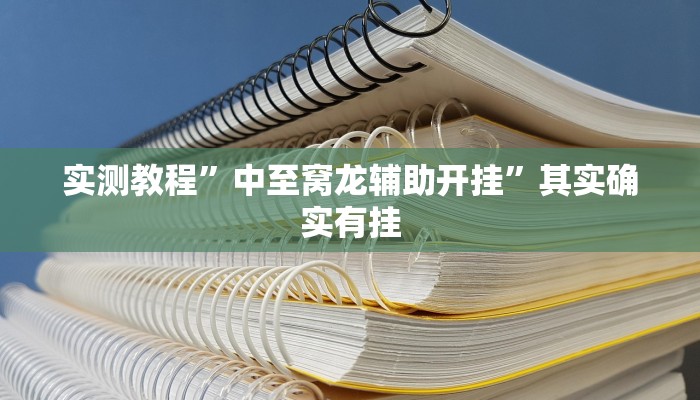 实测教程”中至窝龙辅助开挂”其实确实有挂