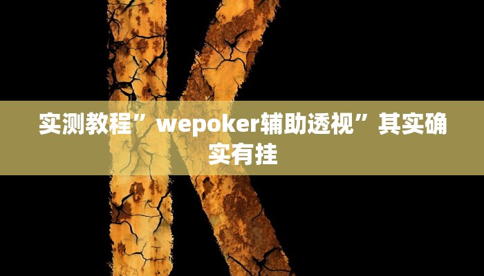 实测教程”wepoker辅助透视”其实确实有挂