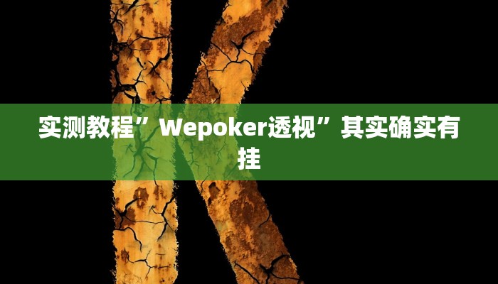 实测教程”Wepoker透视”其实确实有挂
