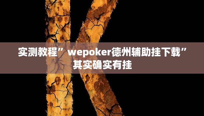 实测教程”wepoker德州辅助挂下载”其实确实有挂