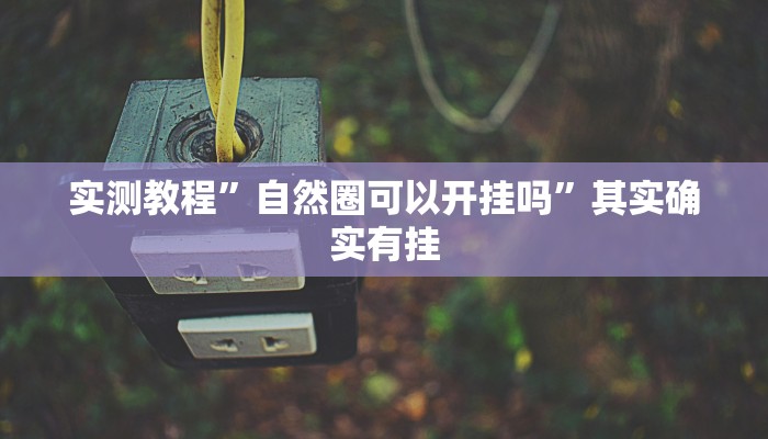 实测教程”自然圈可以开挂吗”其实确实有挂