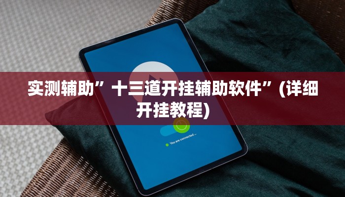 实测教程”花城牌舍辅助开挂”其实确实有挂