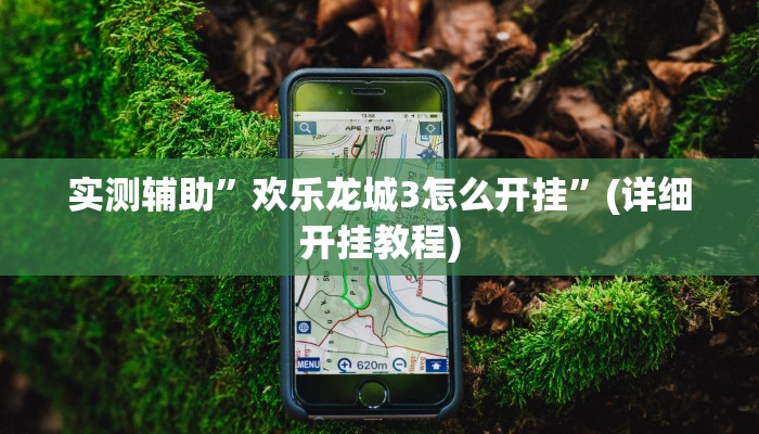 实测辅助”欢乐龙城3怎么开挂”(详细开挂教程)