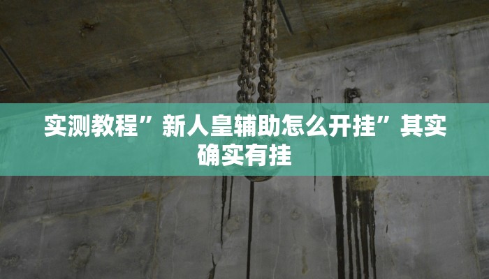 实测教程”新人皇辅助怎么开挂”其实确实有挂