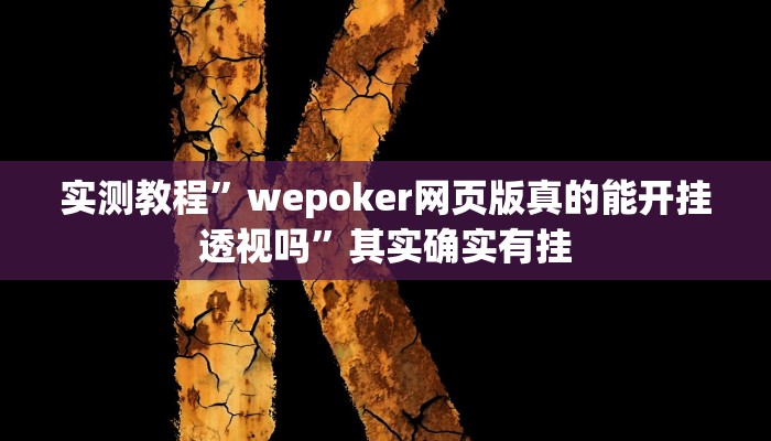 实测教程”wepoker网页版真的能开挂透视吗”其实确实有挂
