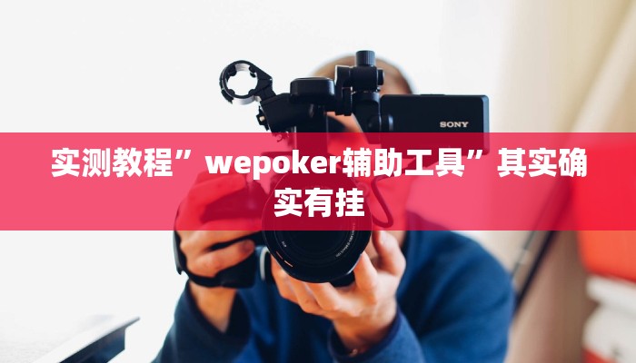实测教程”wepoker辅助工具”其实确实有挂