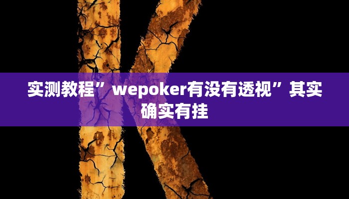 实测教程”wepoker有没有透视”其实确实有挂