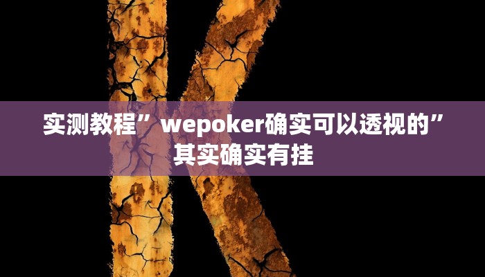 实测教程”wepoker确实可以透视的”其实确实有挂