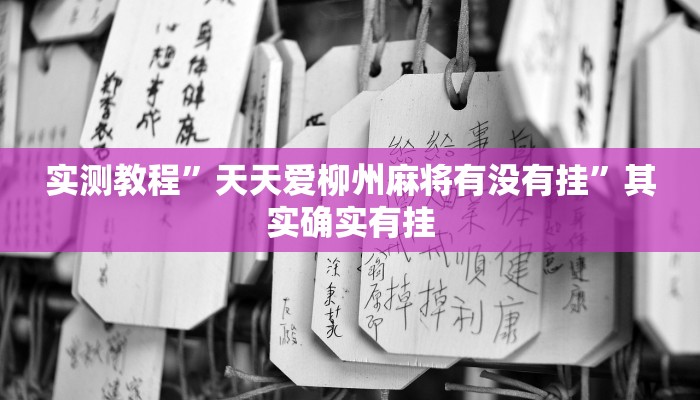 实测教程”天天爱柳州麻将有没有挂”其实确实有挂