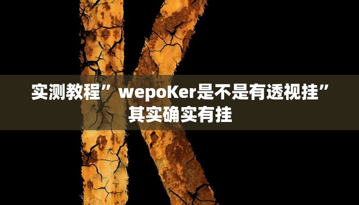实测教程”wepoKer是不是有透视挂”其实确实有挂