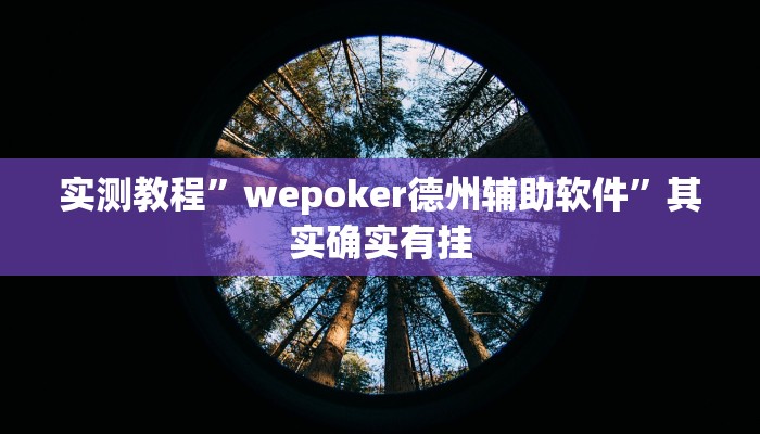 实测教程”wepoker德州辅助软件”其实确实有挂