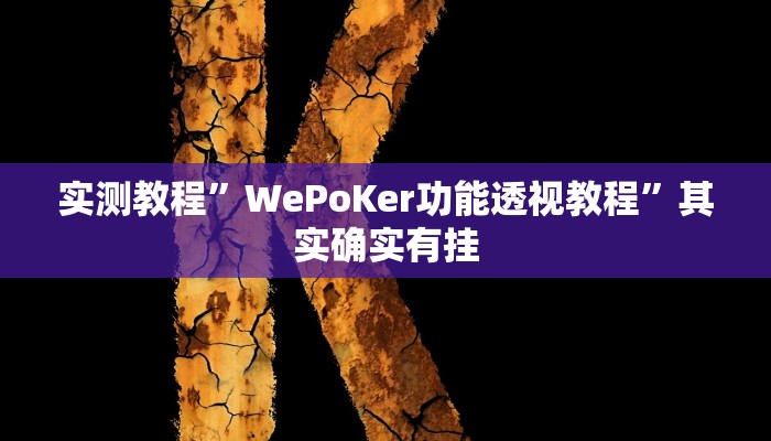 实测教程”WePoKer功能透视教程”其实确实有挂