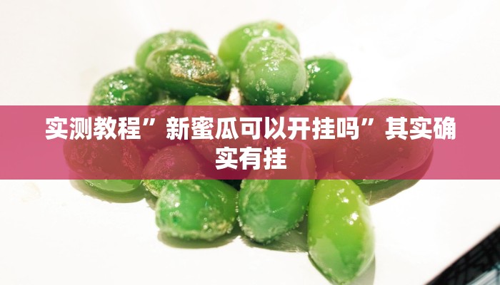 实测教程”新蜜瓜可以开挂吗”其实确实有挂