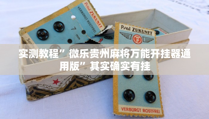 实测教程”微乐贵州麻将万能开挂器通用版”其实确实有挂