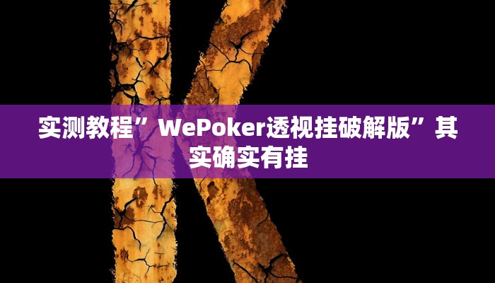 实测教程”WePoker透视挂破解版”其实确实有挂