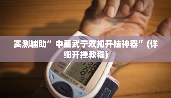 实测辅助”中至武宁双扣开挂神器”(详细开挂教程)