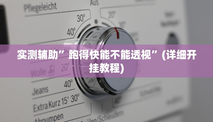 实测辅助”跑得快能不能透视”(详细开挂教程)