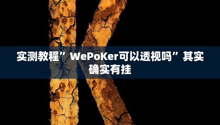 实测教程”WePoKer可以透视吗”其实确实有挂