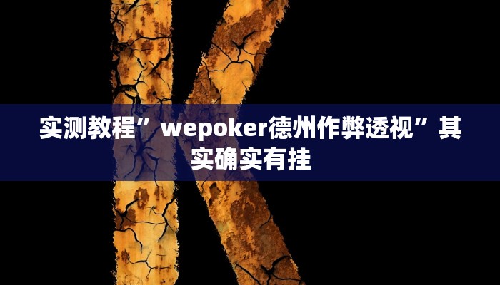 实测教程”wepoker德州作弊透视”其实确实有挂