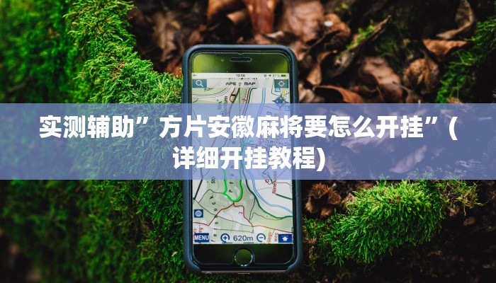 实测辅助”方片安徽麻将要怎么开挂”(详细开挂教程)