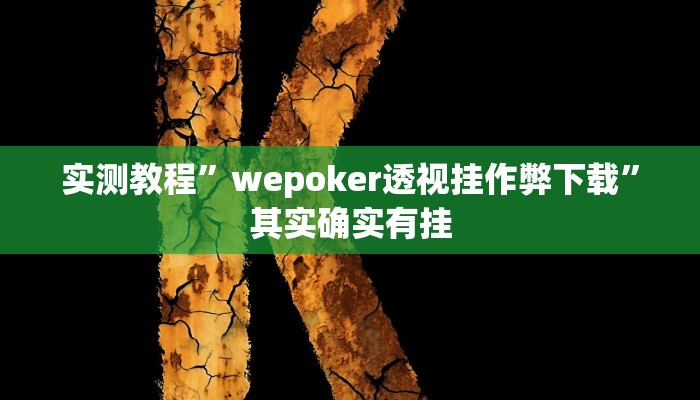 实测教程”wepoker透视挂作弊下载”其实确实有挂