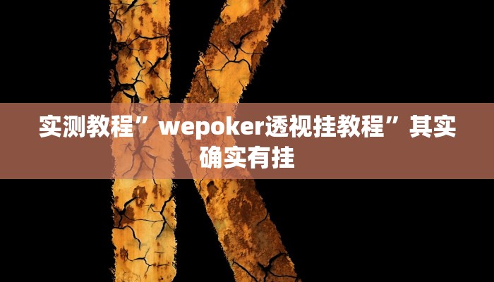 实测教程”wepoker透视挂教程”其实确实有挂