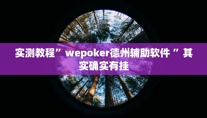 实测辅助”卡农大厅开挂辅助软件”(详细开挂教程)