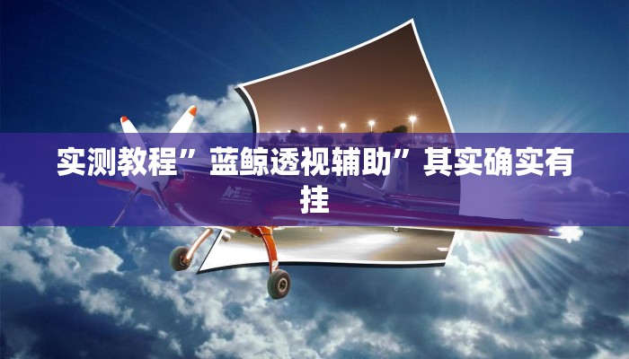 实测教程”蓝鲸透视辅助”其实确实有挂