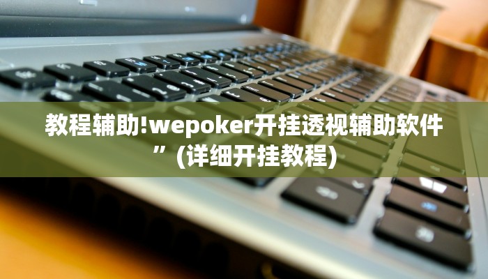 教程辅助!wepoker开挂透视辅助软件”(详细开挂教程)