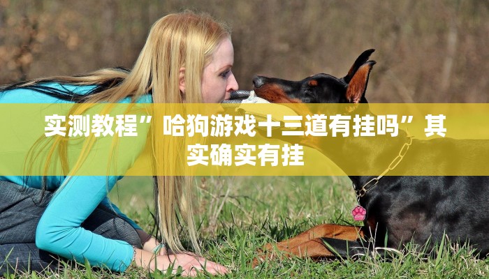 实测教程”哈狗游戏十三道有挂吗”其实确实有挂