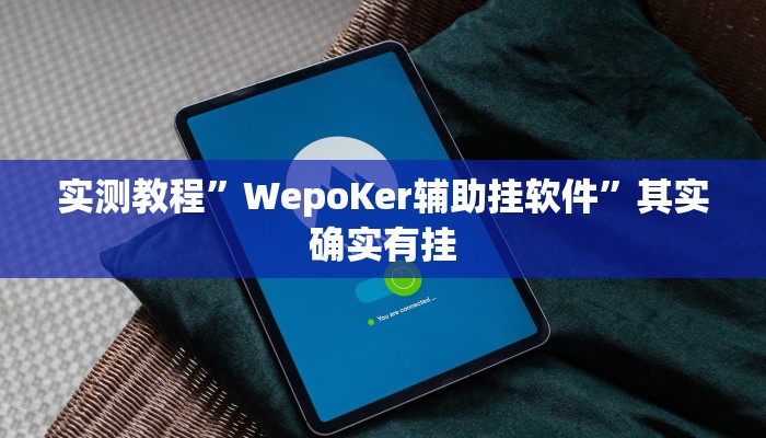 实测教程”WepoKer辅助挂软件”其实确实有挂
