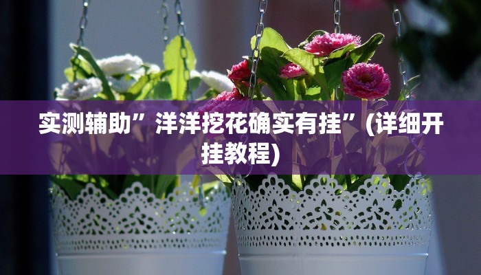实测辅助”洋洋挖花确实有挂”(详细开挂教程)
