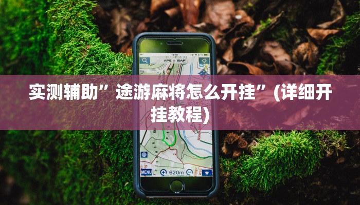 实测辅助”途游麻将怎么开挂”(详细开挂教程)