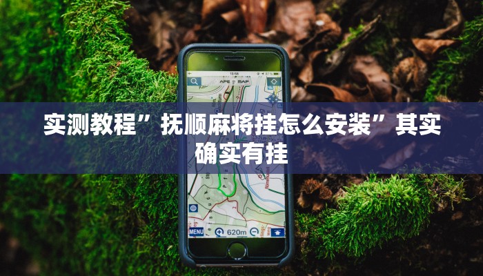 实测教程”抚顺麻将挂怎么安装”其实确实有挂