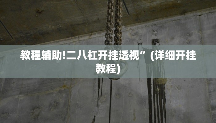 教程辅助!二八杠开挂透视”(详细开挂教程)