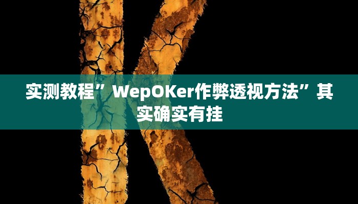 实测教程”WepOKer作弊透视方法”其实确实有挂