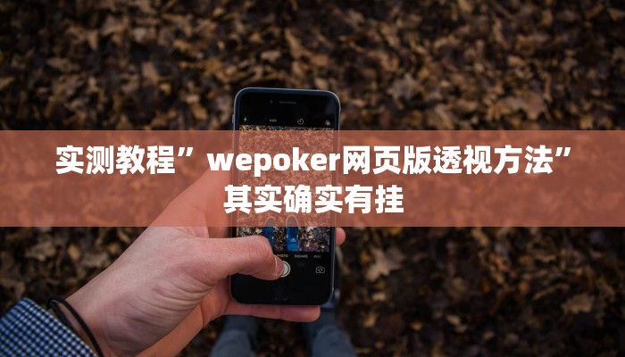 实测教程”wepoker网页版透视方法”其实确实有挂