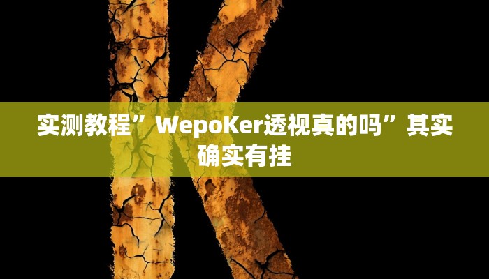 实测教程”WepoKer透视真的吗”其实确实有挂