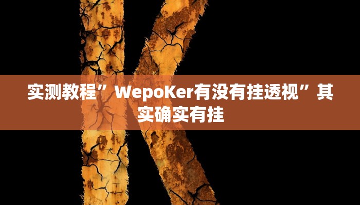 实测教程”WepoKer有没有挂透视”其实确实有挂