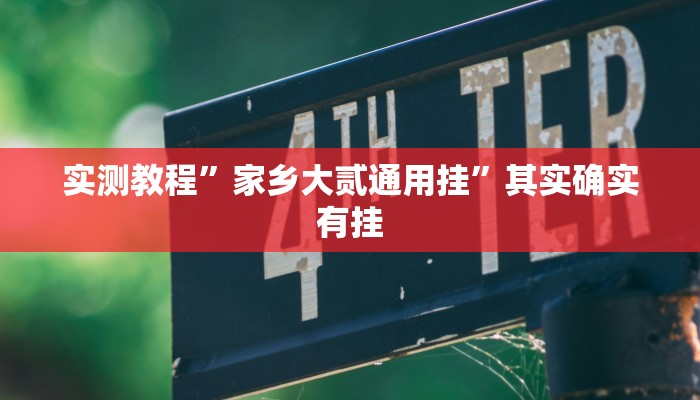 实测教程”家乡大贰通用挂”其实确实有挂