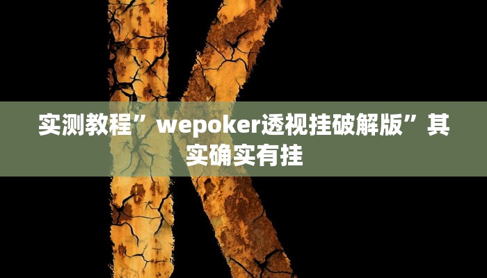 实测教程”wepoker透视挂破解版”其实确实有挂