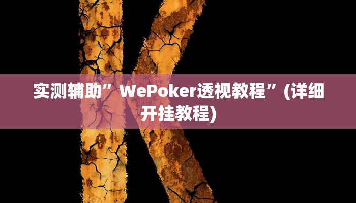 实测辅助”WePoker透视教程”(详细开挂教程)