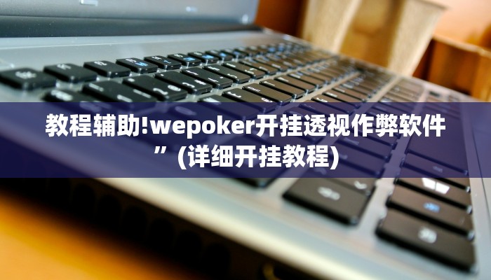 教程辅助!wepoker开挂透视作弊软件”(详细开挂教程)