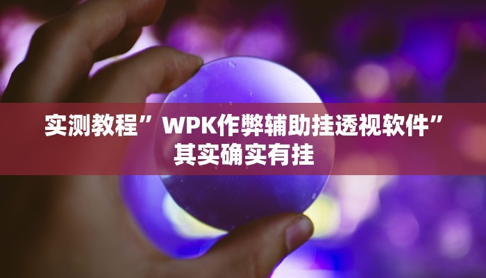 实测教程”WPK作弊辅助挂透视软件”其实确实有挂