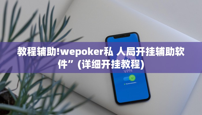 教程辅助!wepoker私 人局开挂辅助软件”(详细开挂教程)