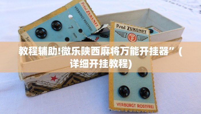 教程辅助!微乐陕西麻将万能开挂器”(详细开挂教程)