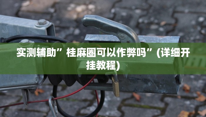 实测辅助”桂麻圈可以作弊吗”(详细开挂教程)