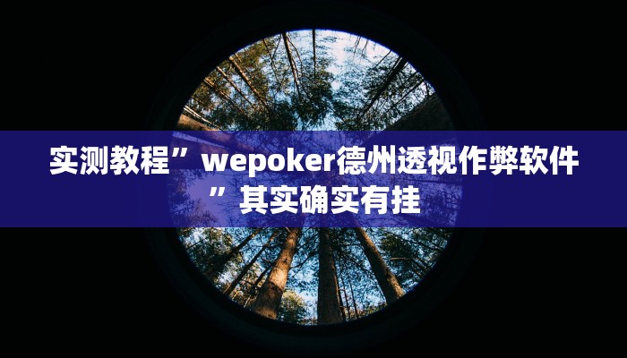 实测教程”wepoker德州透视作弊软件”其实确实有挂