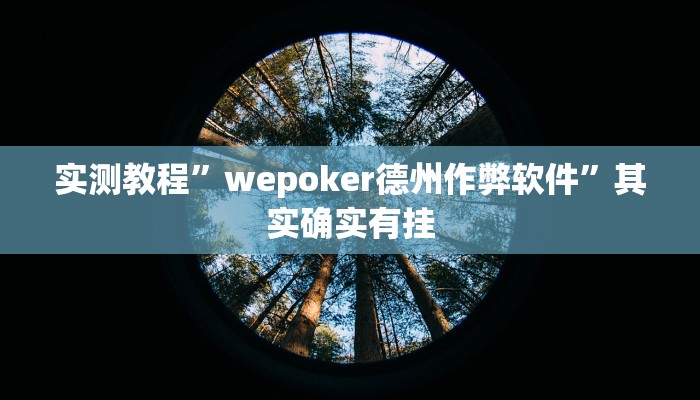 实测教程”wepoker德州作弊软件”其实确实有挂